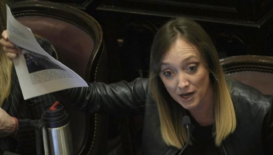 La crítica de Fernández Sagasti que hizo estallar al cornejismo
