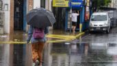 Foto ilustrativa de la nota titulada: Árboles caídos y casas anegadas por la tormenta