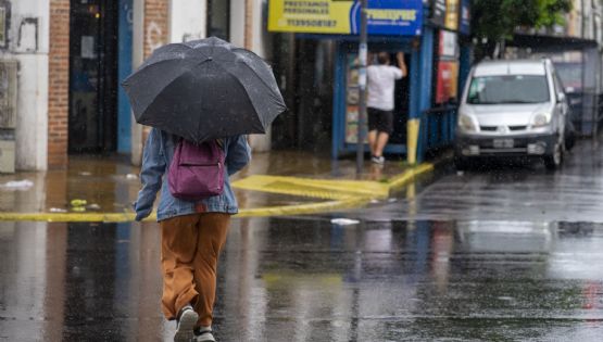 Árboles caídos y casas anegadas por la tormenta