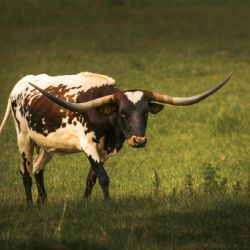 Los signos que tendrán la oportunidad de impulsar sus carreras