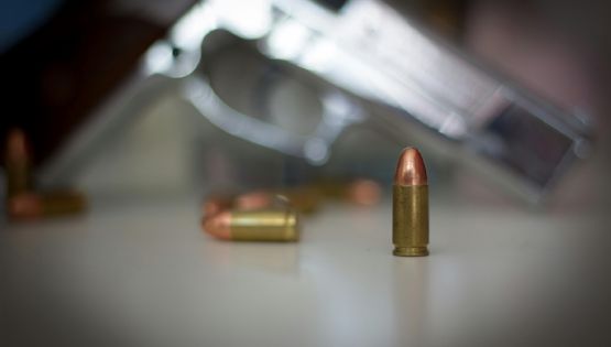Giro radical en la tenencia de armas en Argentina: facilitan el acceso