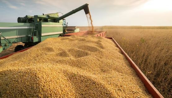 U$S 1.600 millones para 10 grandes exportadoras