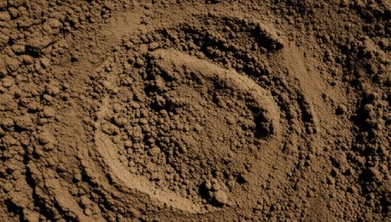 Cuáles son los signos de tierra y como es su personalidad