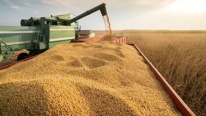 U$S 1.600 millones para 10 grandes exportadoras