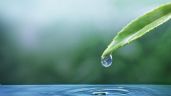 Foto ilustrativa de la nota titulada: Cuáles son los signos de Agua y como es su personalidad
