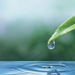 Cuáles son los signos de Agua y como es su personalidad