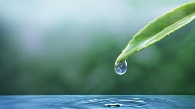 Cuáles son los signos de Agua y como es su personalidad
