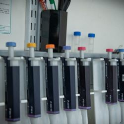 Los cambios que sufrirá el Banco de Datos Genéticos