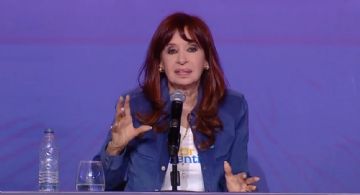 Cristina calificó de "desgobierno" a Milei
