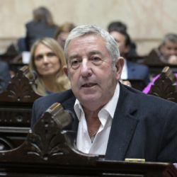 Cobos se puso en el lugar de Villarruel y cuestionó a Milei