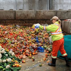 Proponen una ley para frenar el desperdicio de comida