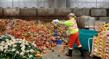 Proponen una ley para frenar el desperdicio de comida