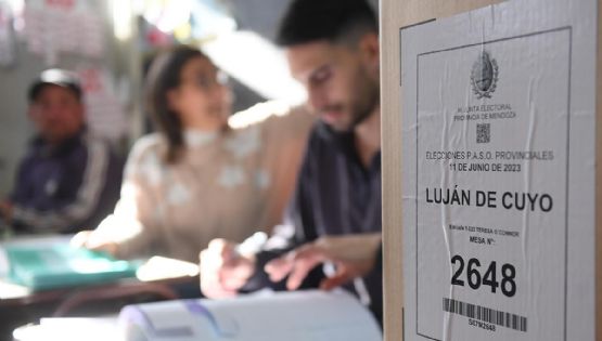 A contrarreloj: cuándo votaría Mendoza la suspensión de las PASO