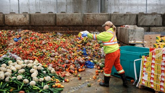 Proponen una ley para frenar el desperdicio de comida