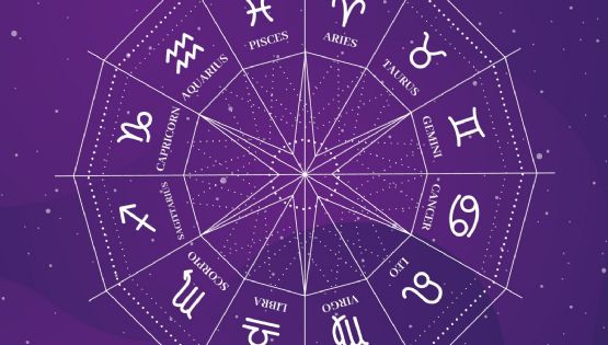Cúal es el signo complementario de Aries y qué significa 