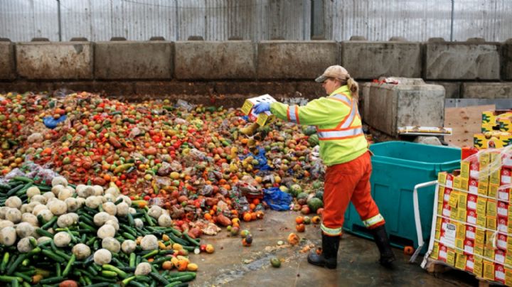 Proponen una ley para frenar el desperdicio de comida