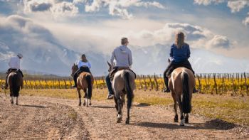 Turismo: se registró una ocupación del 54% durante el fin de semana largo