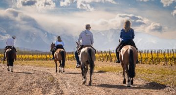 Balanza turística: en el verano, Mendoza perdió USD 19,5 millones