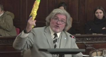 Taser: las chicanas del degradado debate legislativo