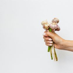 El poderoso insecticida de ajo que protegerá tus plantas
