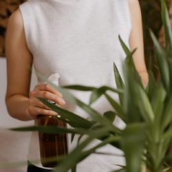 Caseros y naturales: tres fertilizantes líquidos para el jardín