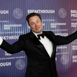 Trump despidió a Elon Musk del Gobierno
