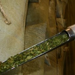 La cosecha de yerba mate cayó más del 30% en el primer trimestre del año