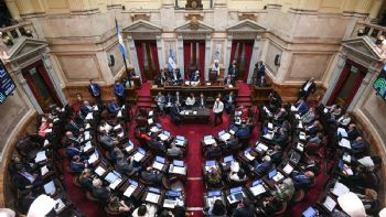El Senado debate la ley de Inviolabilidad de la Propiedad Privada