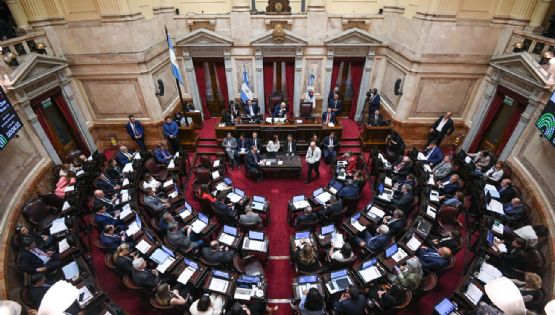 El Senado rechazó Ficha Limpia
