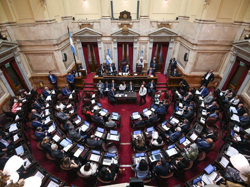 El Senado debate la ley de Inviolabilidad de la Propiedad Privada