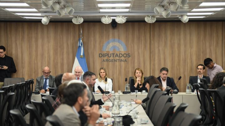 Jubilaciones: expectativas sobre lo que ocurrirá con la moratoria