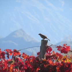 Así va a estar el tiempo este fin de semana