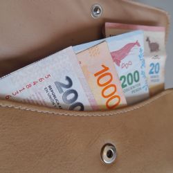 Nuevos montos para el salario mínimo: ¿a cuánto se irá en los próximos meses?