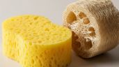 Foto ilustrativa de la nota titulada: Cinco razones por las que deberías cambiar tu esponja de baño por una de luffa 