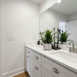 Tres plantas perfectas para embellecer un baño