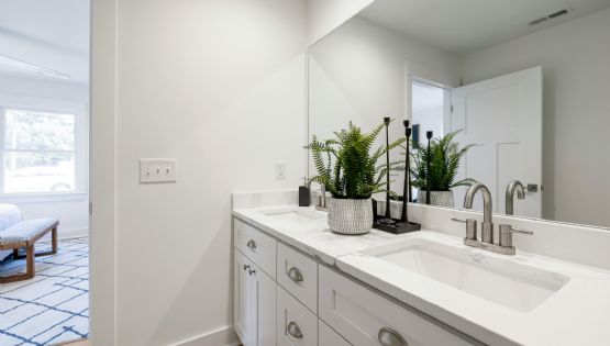 Tres plantas perfectas para embellecer un baño
