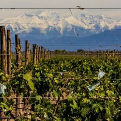 Seguirán los días soleados, pero fríos