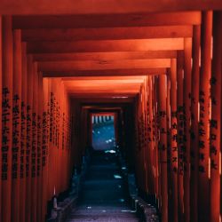 Juunishi: conociendo la personalidad de cada signo japonés