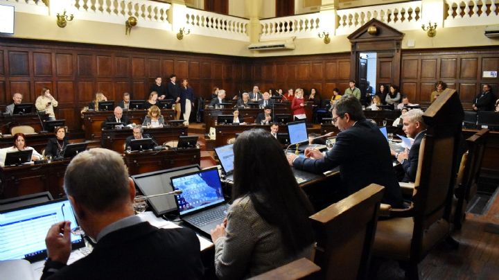 Avanza la suspensión de las PASO en Mendoza