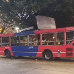 Un colectivo chocó con una rama y perdió el techo