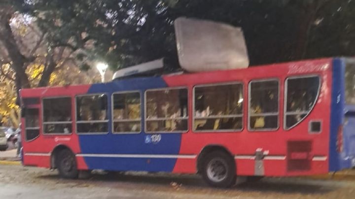 Un colectivo chocó con una rama y perdió el techo
