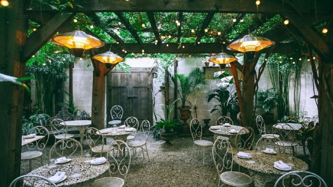 Sombra natural: las tres mejores plantas para tu pérgola