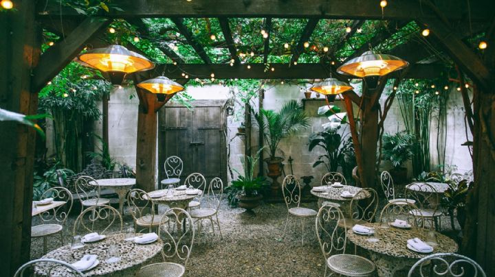 Sombra natural: las tres mejores plantas para tu pérgola