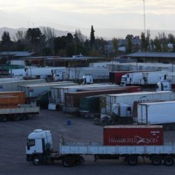 Más 600 los camiones ya esperan para pasar a Chile