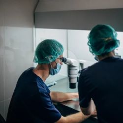 Las 5 cosas que hay que saber acerca de la fertilidad 