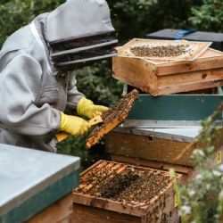 El semáforo de las economías regionales: cómo le fue a cada una en el primer cuatrimestre