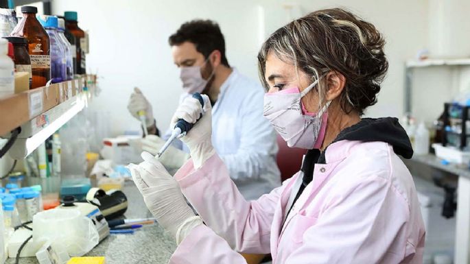 Desarrollaron una nueva vacuna contra la tos convulsa