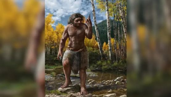 Un hallazgo revolucionario que redefine la evolución humana