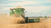 Foto ilustrativa de la nota titulada: El campo aportó más dólares, pese a la baja de retenciones