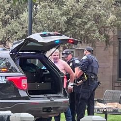 Estados Unidos: detuvieron al sospechoso del ataque en Colorado